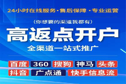 SEM竞价实战：成功案例解析